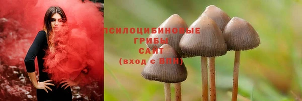 таблы Белокуриха