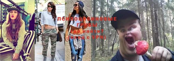 таблы Белокуриха