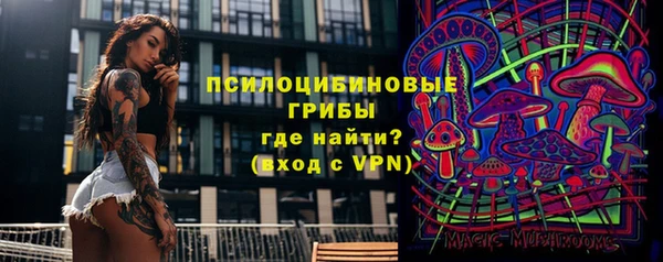 крисы Беломорск