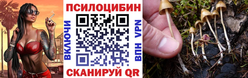 KRAKEN вход  Цимлянск  Галлюциногенные грибы мицелий 